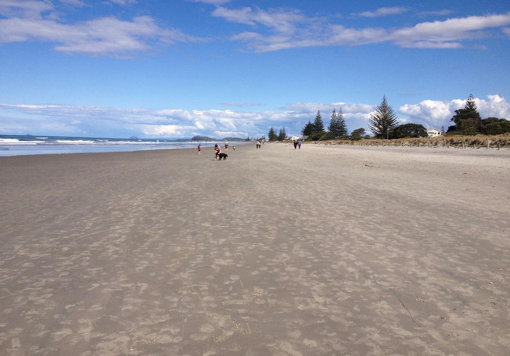 Atalaya Apartment Waihi Bagian luar foto